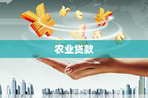 福兴农业贷款
