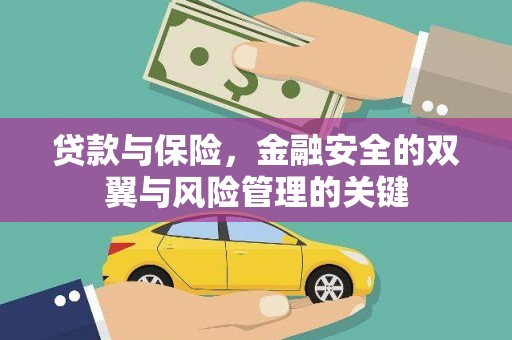 康县贷款与保险，金融安全的双翼与风险管理的关键