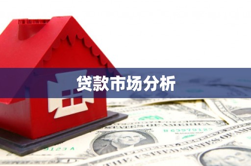 石龙贷款市场分析