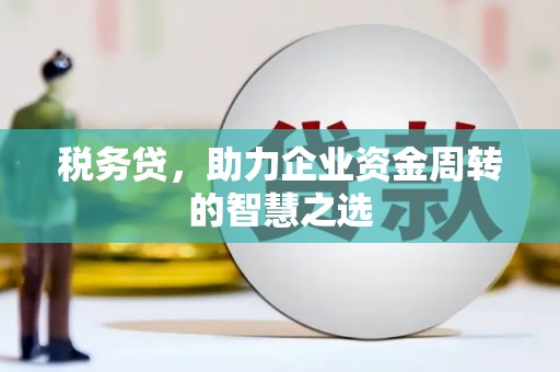 南宁税务贷，助力企业资金周转的智慧之选