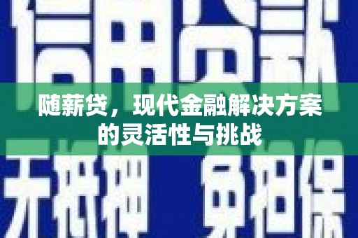 公安随薪贷，现代金融解决方案的灵活性与挑战