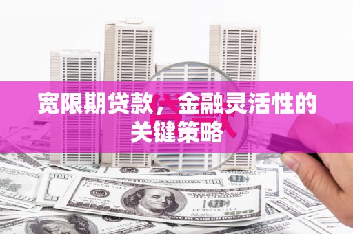 兴县宽限期贷款，金融灵活性的关键策略