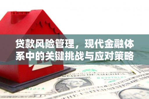 鹿港贷款风险管理，现代金融体系中的关键挑战与应对策略