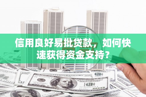 西海岸信用良好易批贷款，如何快速获得资金支持？