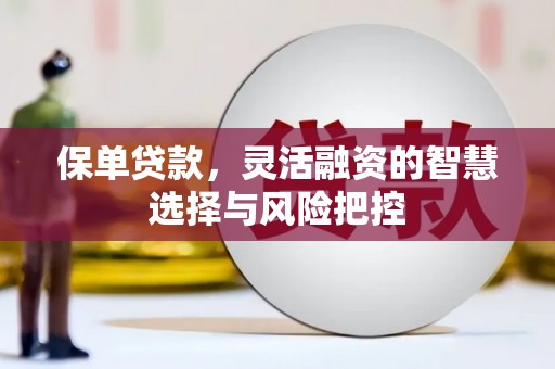 商南保单贷款，灵活融资的智慧选择与风险把控