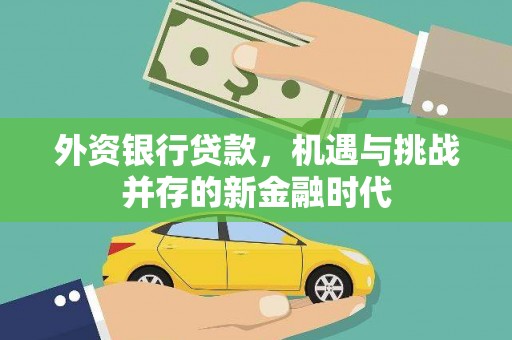 肃州外资银行贷款，机遇与挑战并存的新金融时代