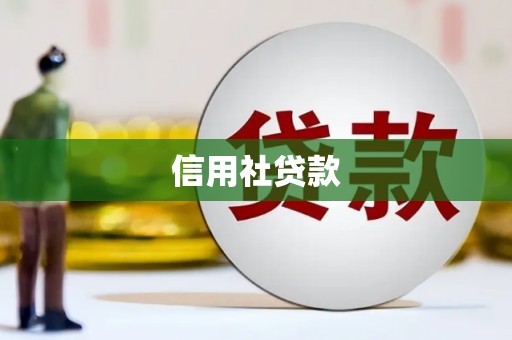 芎林信用社贷款