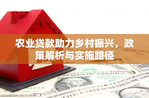 大涌农业贷款助力乡村振兴，政策解析与实施路径