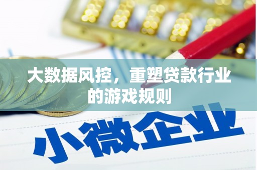 新县大数据风控，重塑贷款行业的游戏规则