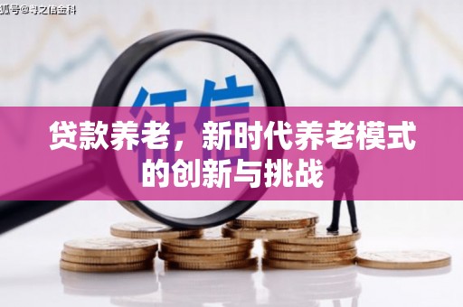 揭东贷款养老，新时代养老模式的创新与挑战