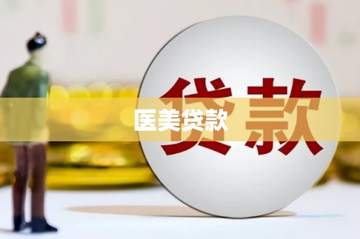 延平医美贷款