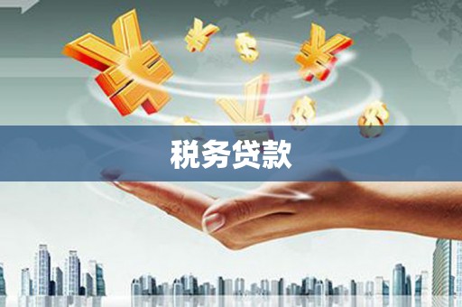 灌阳税务贷款