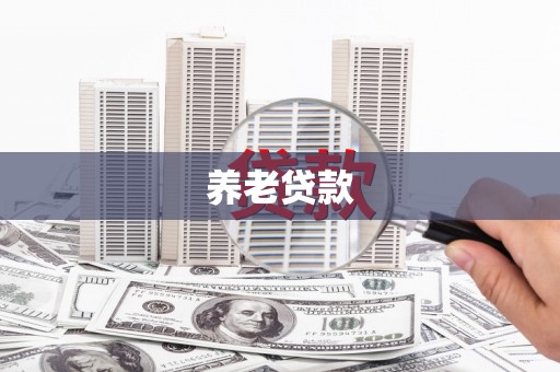 华龙养老贷款