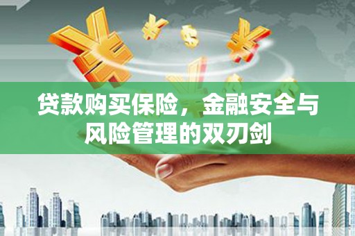 岭东贷款购买保险，金融安全与风险管理的双刃剑