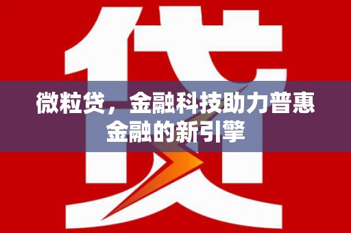 驻马店微粒贷，金融科技助力普惠金融的新引擎