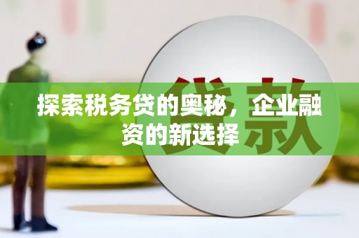 宁晋探索税务贷的奥秘，企业融资的新选择