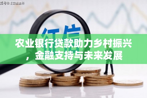 久治农业银行贷款助力乡村振兴，金融支持与未来发展