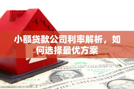 莱城小额贷款公司利率解析，如何选择最优方案