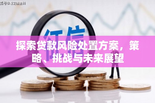 宽甸探索贷款风险处置方案，策略、挑战与未来展望