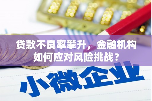 鄱阳贷款不良率攀升，金融机构如何应对风险挑战？
