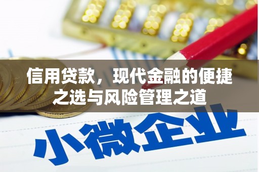 西夏信用贷款，现代金融的便捷之选与风险管理之道