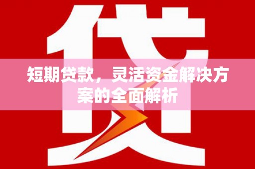 青阳短期贷款，灵活资金解决方案的全面解析
