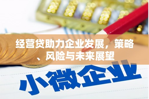 岱山经营贷助力企业发展，策略、风险与未来展望