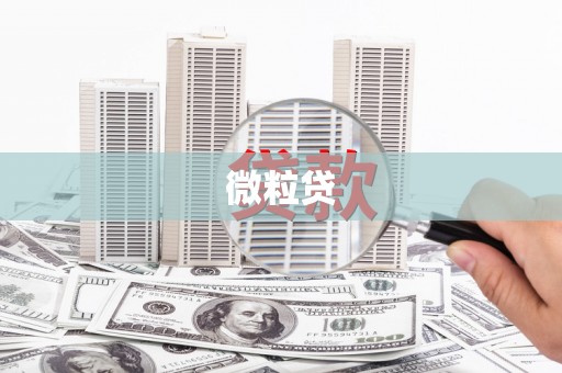 宜城微粒贷