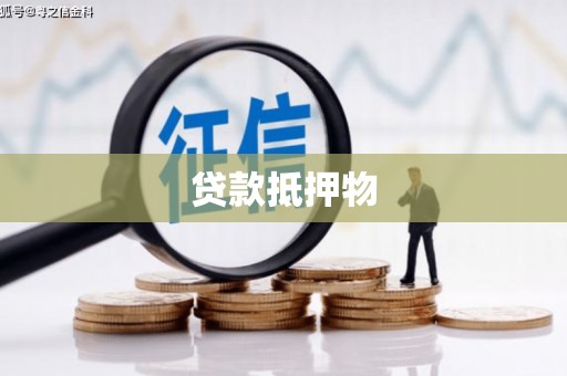献县贷款抵押物