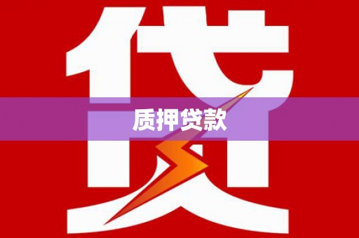 新都质押贷款
