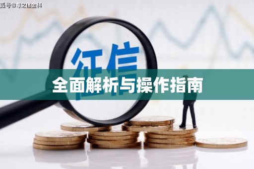 南湖全面解析与操作指南