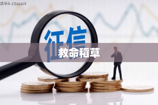 茄萣救命稻草