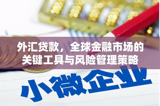 无极外汇贷款，全球金融市场的关键工具与风险管理策略
