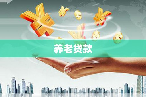源汇养老贷款