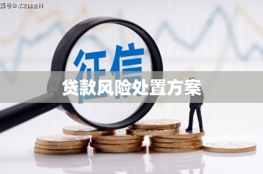 垣曲贷款风险处置方案