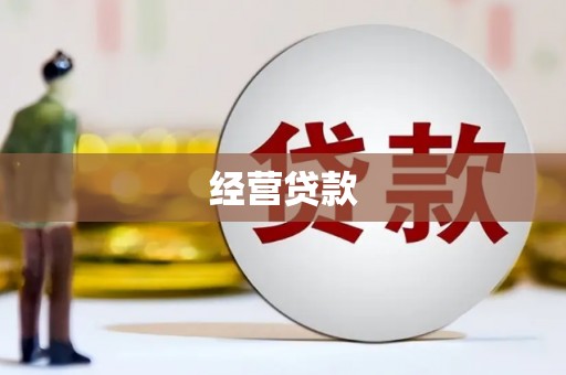 龙凤经营贷款