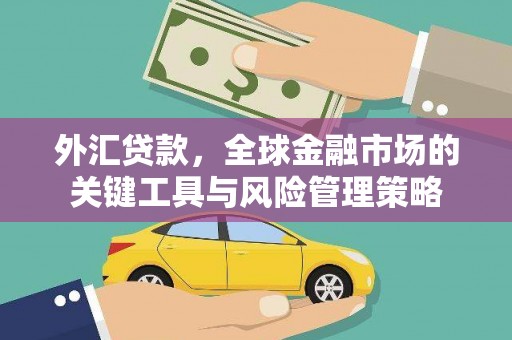 沈丘外汇贷款，全球金融市场的关键工具与风险管理策略