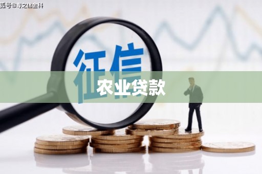永宁农业贷款