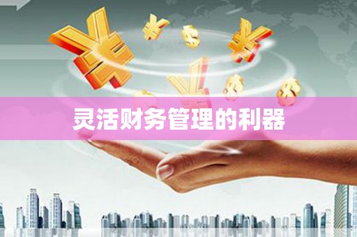 随州灵活财务管理的利器