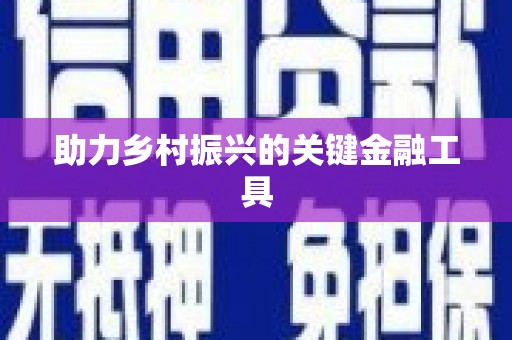 惠山助力乡村振兴的关键金融工具