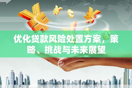 宜章优化贷款风险处置方案，策略、挑战与未来展望