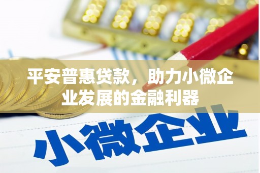 洛南平安普惠贷款，助力小微企业发展的金融利器