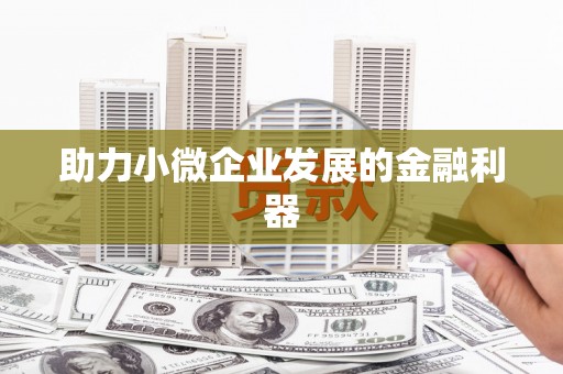 星子助力小微企业发展的金融利器