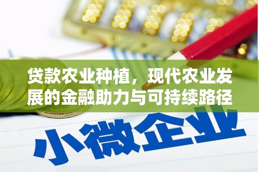 贵溪贷款农业种植，现代农业发展的金融助力与可持续路径