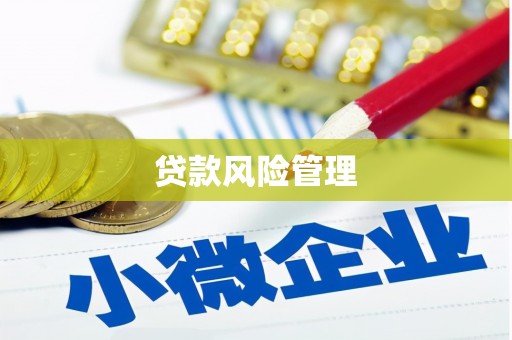 黄梅贷款风险管理