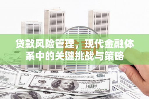 临沂贷款风险管理，现代金融体系中的关键挑战与策略