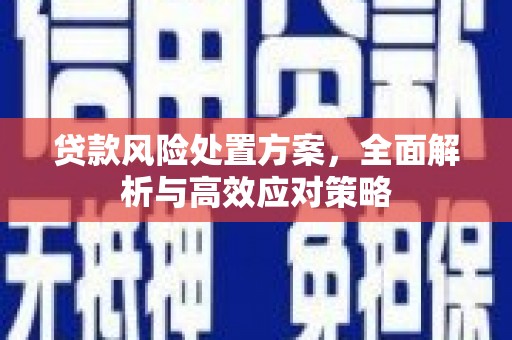 海晏贷款风险处置方案，全面解析与高效应对策略
