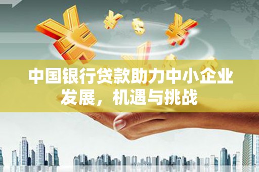 泰顺中国银行贷款助力中小企业发展，机遇与挑战