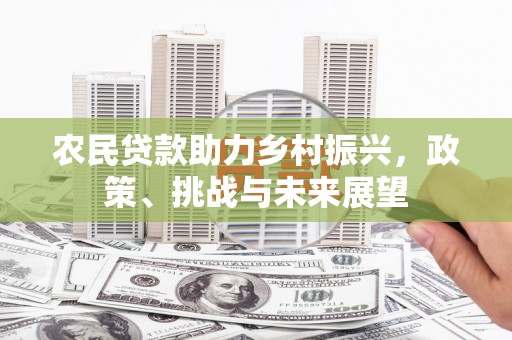 庐阳农民贷款助力乡村振兴，政策、挑战与未来展望