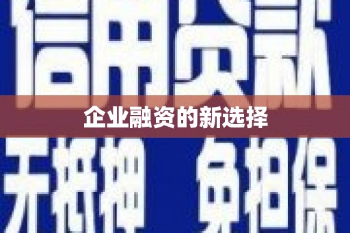 渭源企业融资的新选择